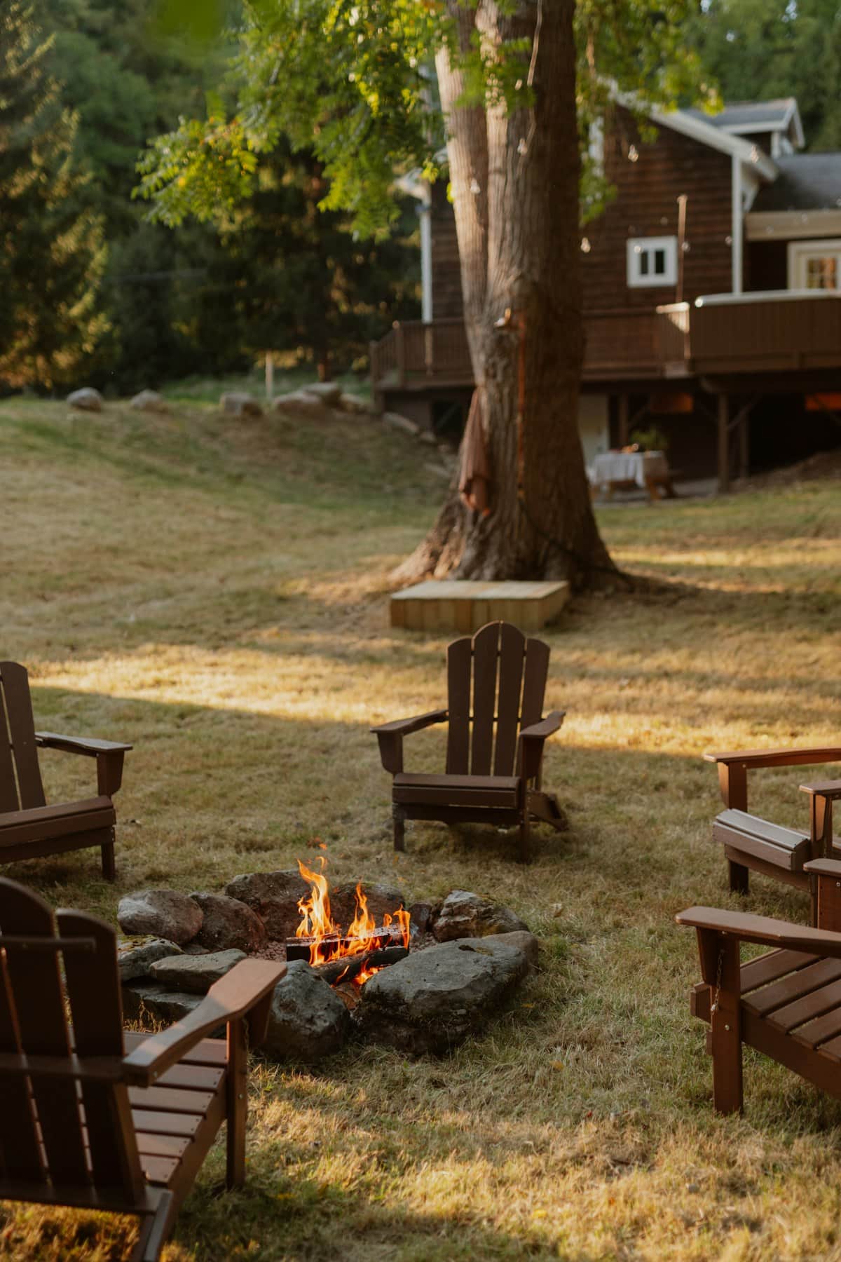 Fire pit with Adirondack chairs at golden hour under a big tree